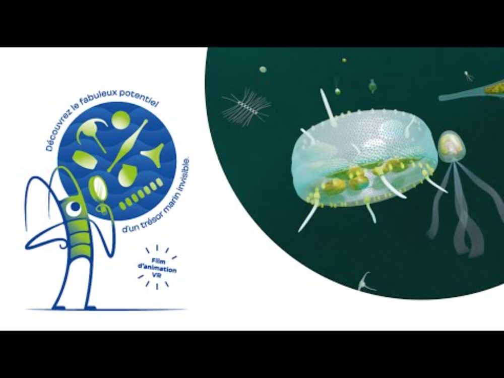 Plongée VR 360 dans l’univers des microalgues marines 🦠