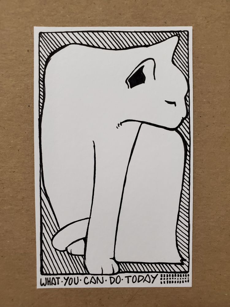 Pen drawing of a cat on an index card with the caption "What you can do today"