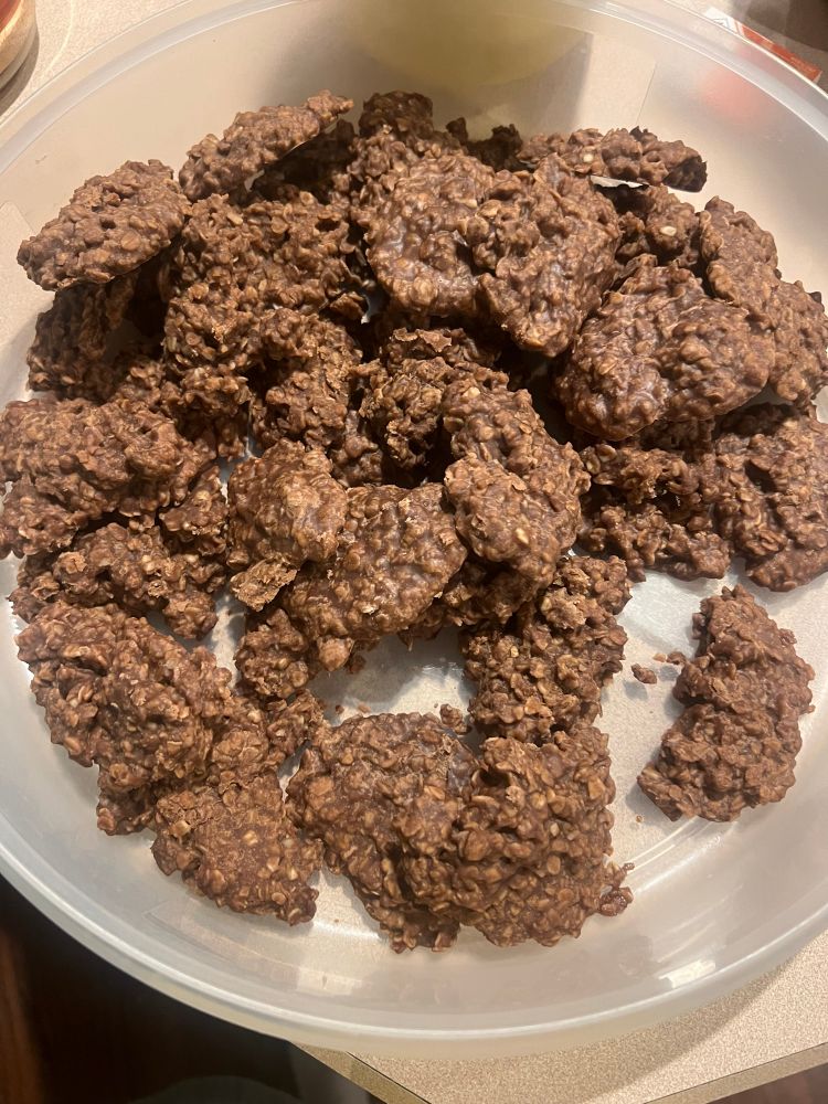 Chocolate oatmeal cookies in a Tupperware container. 