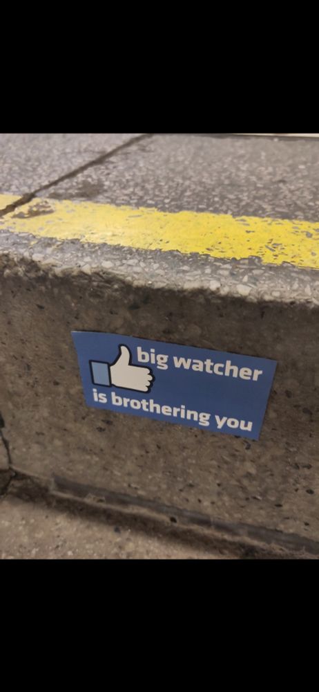 Sticker mit der Aufschrift Big Watcher is brothering you"
