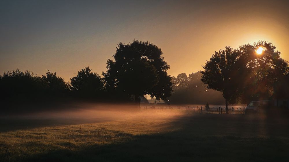 Dieses Bild zeigt eine friedvolle, ländliche Szene bei Sonnenauf- oder -untergang. Die Sonne steht tief am Horizont und taucht die Landschaft in ein warmes, goldenes Licht. Über einer Wiese liegt ein leichter Nebel, der dem Bild eine mystische und ruhige Atmosphäre verleiht. Im Hintergrund sind dunkle Silhouetten von Bäumen zu sehen, die sich vor dem farbenfrohen Himmel abheben. Die Szene wirkt sehr natürlich und idyllisch, fast wie aus einer anderen Zeit. Die sanften Übergänge zwischen Licht und Schatten sowie die ruhige Stimmung machen das Bild besonders ansprechend und entspannend. Es vermittelt ein Gefühl von Ruhe und Gelassenheit, als würde die Zeit für einen Moment stillstehen.