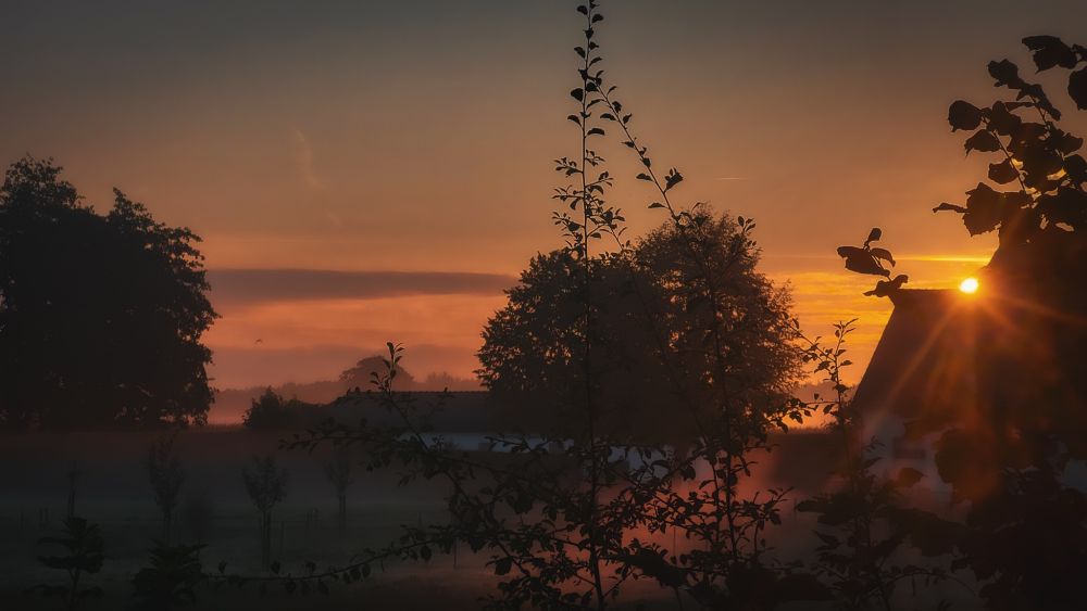 Das Bild zeigt einen stimmungsvollen Sonnenaufgang mit einem Himmel, der in warmen Orange- und Rottönen leuchtet. Die Sonne steht tief am Horizont und taucht die Umgebung in ein sanftes, goldenes Licht. Im Vordergrund sind die Silhouetten von Bäumen und Büschen zu sehen, die sich dunkel gegen den leuchtenden Himmel abheben. 