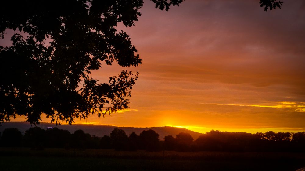 Dieses Bild zeigt einen wunderschönen Sonnenaufgang über einer sanft hügeligen Landschaft. Der Himmel ist in intensiven Orange-, Gelb- und Rosatönen gefärbt, während die Sonne langsam hinter den Hügeln aufsteigt. Im Vordergrund sind dunkle Baumsilhouetten zu sehen, die sich gegen den leuchtenden Himmel abheben. Die Szene wirkt friedlich und malerisch.