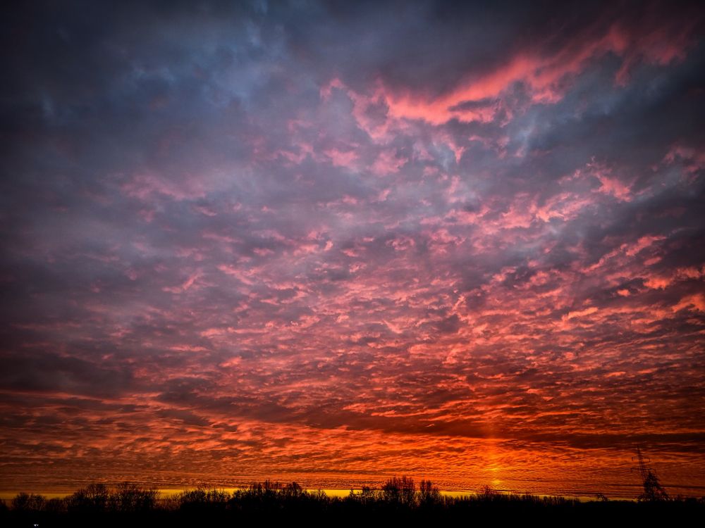Sonnenaufgang. Mehr als drei Viertel des Bildes nimmt der Hinmel ein, dessen Wolken lila bis rotorange gefärbt sind. Am unteren Bildrand sind die dunklen Unrisse von Bäumen zu sehen 
