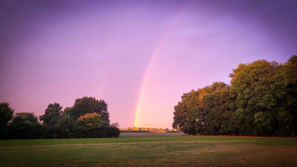 Das Bild zeigt eine faszinierende Naturlandschaft bei Sonnenaufgang mit einem fast senkrechten Regenbogen. Er erstreckt sich vom Horizont aus nach oben in den violett getönten Himmel. Im Vordergrund befindet sich eine grüne Wiese, die von Bäumen und Büschen gesäumt wird. Die Stimmung wirkt mystisch und friedlich, während das Licht den Himmel in sanften Lila- und Rosatönen erstrahlen lässt.