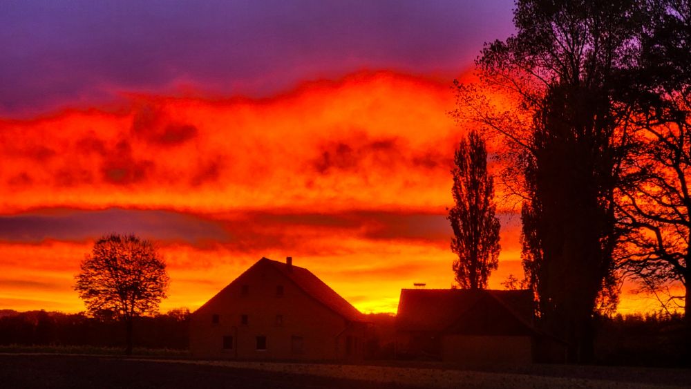 Das Bild zeigt einen Sonnenaufgang mit einem Himmel, der in intensiven Rot-, Orange- und Violetttönen leuchtet. Im Vordergrund sind zwei Gebäude als dunkle Silhouetten zu erkennen. Daneben stehen einige hohe Bäume, deren Äste sich deutlich gegen den farbenprächtigen Himmel abzeichnen. Die Szene wirkt ruhig und idyllisch, mit einer fast dramatischen Lichtstimmung.