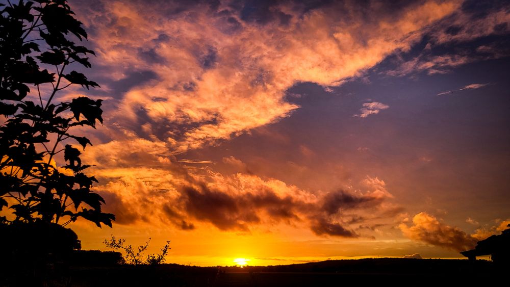 Das Bild zeigt einen beeindruckenden Sonnenuntergang mit einem farbenprächtigen Himmel. Die Sonne steht tief am Horizont und taucht die umliegenden Wolken in intensive Orange-, Rosa- und Violetttöne. Die Wolkenformationen sind dynamisch und wirken fast wie Pinselstriche. Im Vordergrund sind die Silhouetten von Bäumen zu sehen, die sich dunkel gegen den leuchtenden Himmel abheben. Die Atmosphäre ist warm und friedlich.