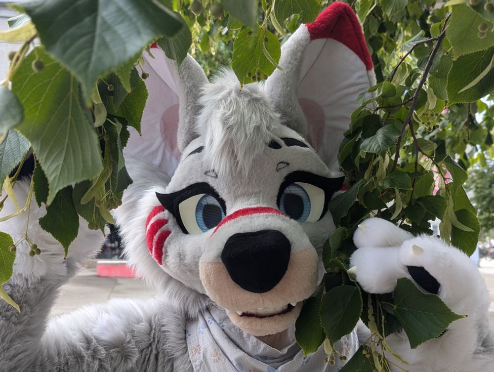 Dog fursuiter playing with some leaves