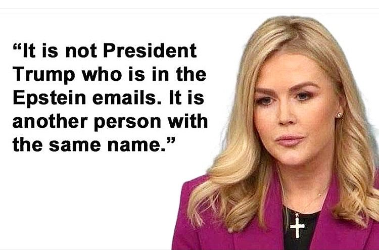 Karoline Leavitt meme