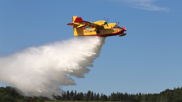 Demand for water bombers has 'skyrocketed' as Canada grapples with more intense wildfires | CBC News