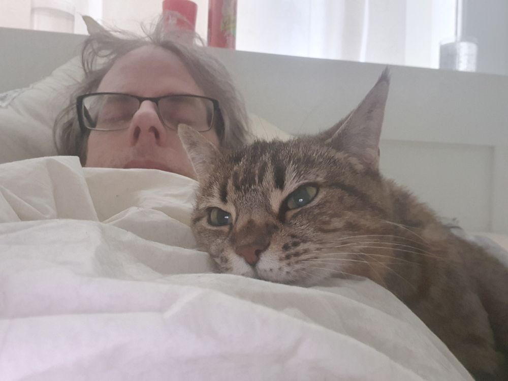 Tabitha looking into the camera while rustine on her sleeping can opener (human).