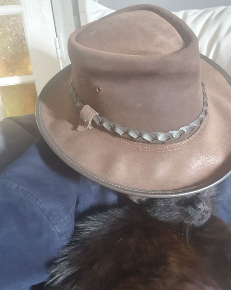 Sadie(Black cat) getting comfortable on my coat (dark blue jacket) under my hat (wide brim Australian style brown leather hat) - Sadie looks like she has pulled it over her eyes). Sidenote, there is an idiot human (or as she refers to me, her mule, or can opener) in the shot who she is pinning down.