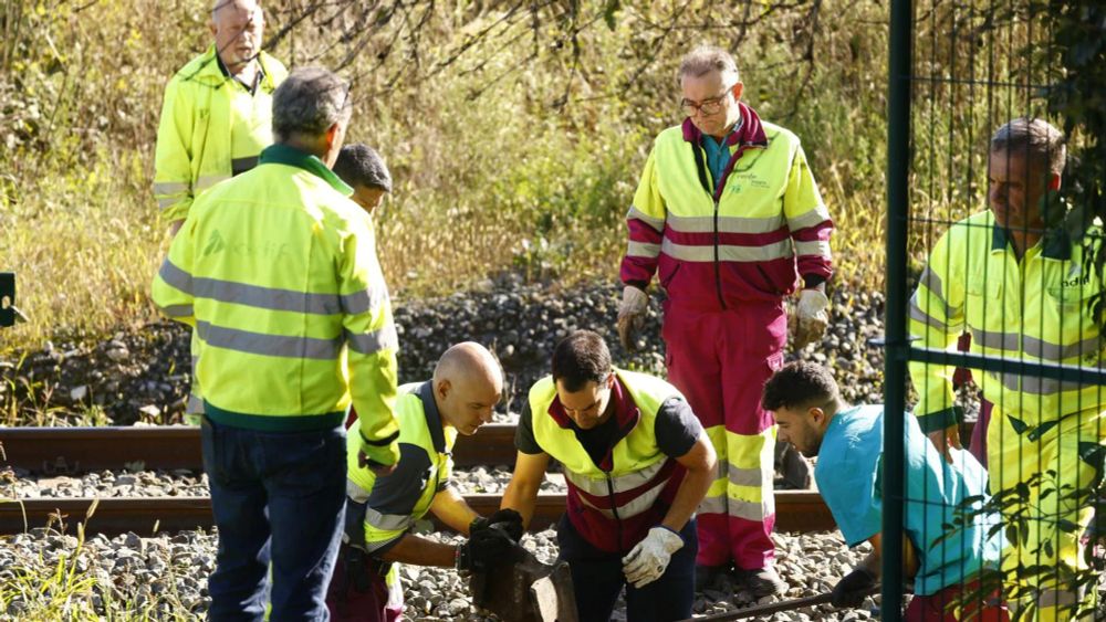 96 viajeros afectados por una avería en el tren Alvia entre Bilbao y Madrid