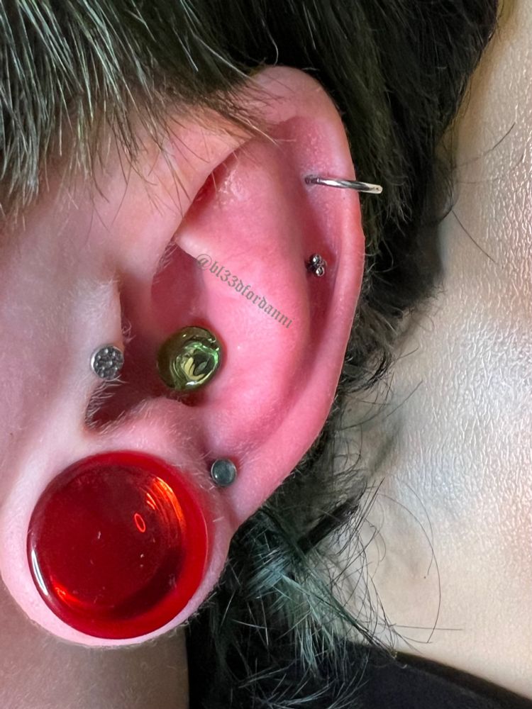 Danni’s ear showcasing a new 4g conch piercing adorned with a light green glass plug. also shows Their helix piercing with a hoop, a lower helix with a tri bead stud, a tragus with a hammered disk, a second lobe with a moss agate cab, and a stretched first lobe with a 17mm red glass plug