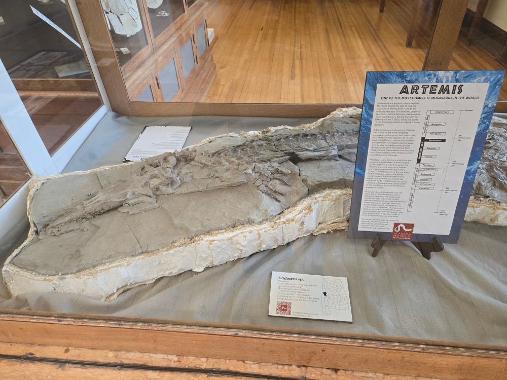 Broader view of the same specimen