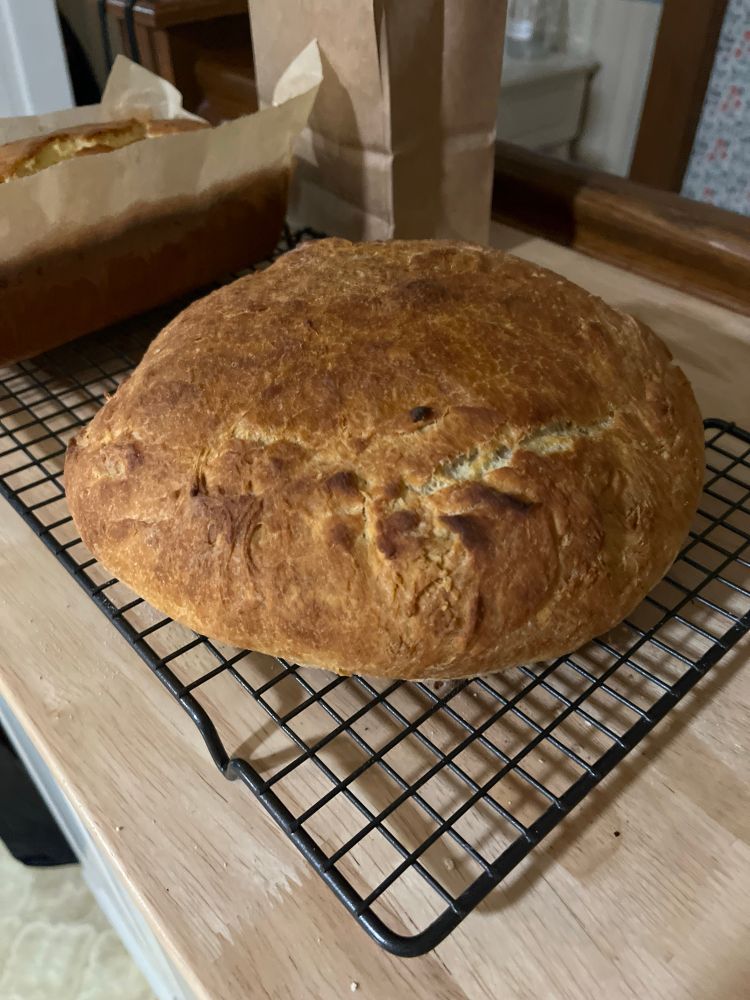 Ive been baking these no knead artisan bread for a couple years now and am looking forward to digging into this one shortly 