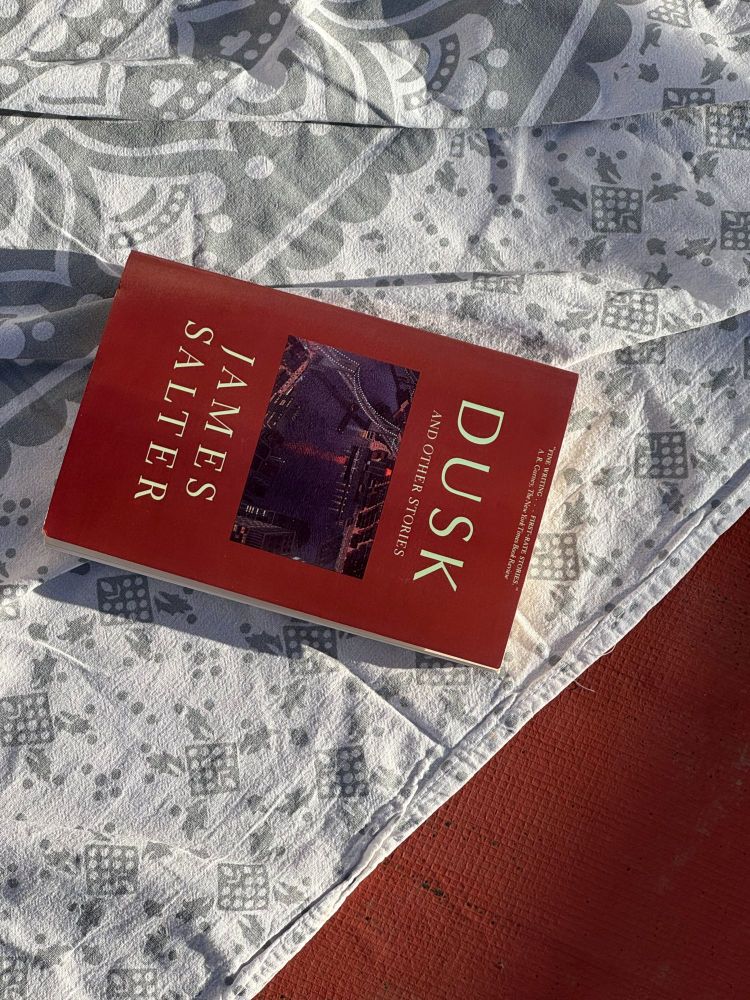 dusk by james salter