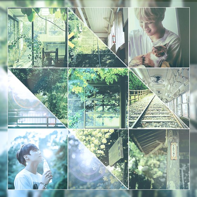 a predominantly green moodboard featuring images of Japan with Jeon Jeongguk in the lower left corner holding a soda bottle and Park Jimin in the upper right corner, holding a calico cat