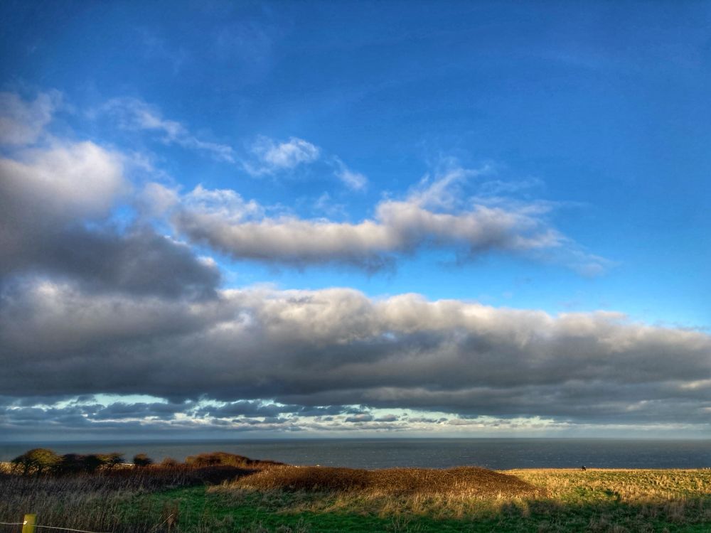 Sunlit grass, big storm clouds and a blue sky.