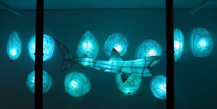 Image: installation photo which shows the shape of what is presumably a basking shark suspended among what may be shark eggs, though very large; all are illuminated from within, and there is a pearlescent bluish glow to the space that the pice is in; there are two strong black verticals towards the left and right, probably supporting struts in the space • “Basking is a celebration of both the resilience of nature and the power of community.    The exhibition will feature a life-sized lantern sculpture of a basking shark, surrounded by over 60 shell-like lantern structures, all crafted from willow and tissue paper and lit from within. Featuring a soundscape by renowned artists Colm Ó Snodaigh and Brian Hogan.    The materials, with their organic and delicate qualities, reflect the fragile yet enduring spirit of the natural world.    Roscommon Arts Centre invites local communities and regional artists in the area to be part of the exhibition and work with the artist Tom Meskell through…”
