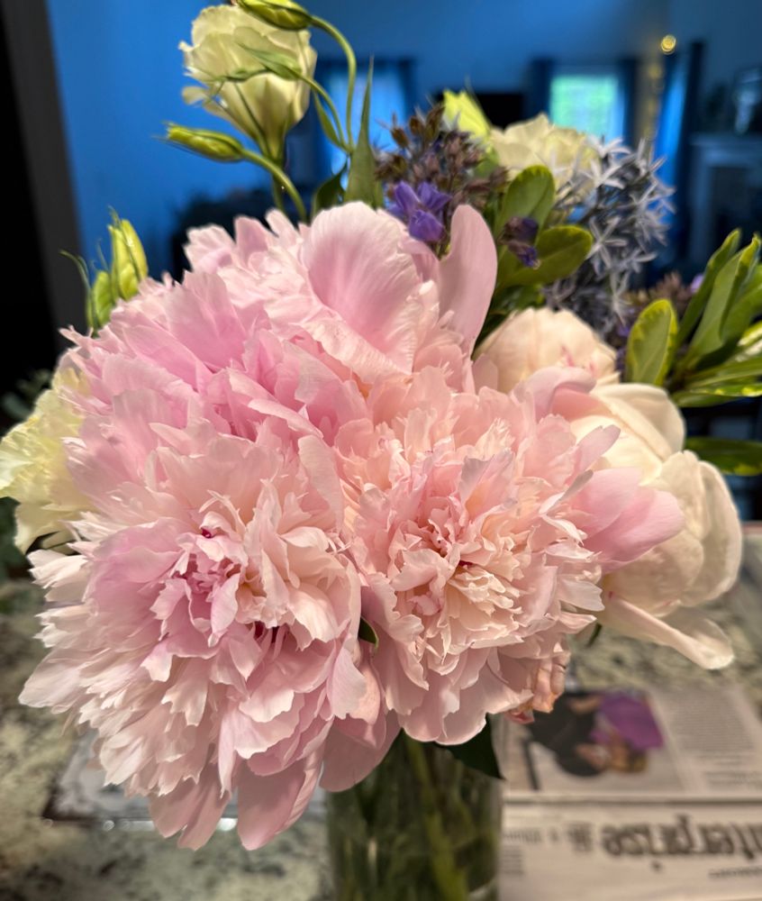 A bouquet of pink and white peonies on a counter in a vase.