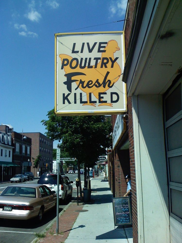 The old Mayflower Poultry Co sign near Inman Square in Cambridge MA.  It reads "LIVE POULTRY FRESH KILLED"