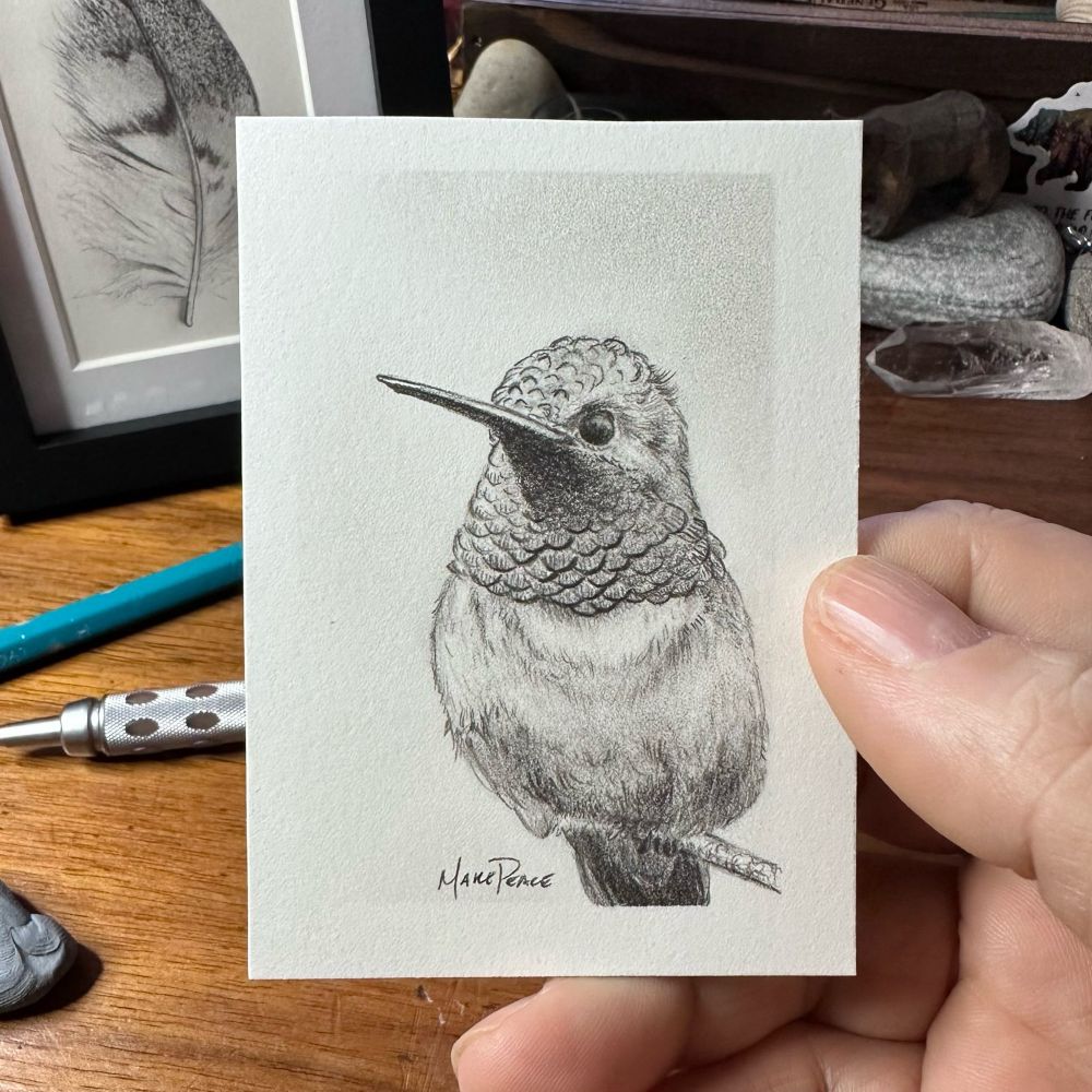 liz murdock (@nerdbird.bsky.social) — Bluesky liz murdock (@nerdbird.bsky.social) — Bluesky