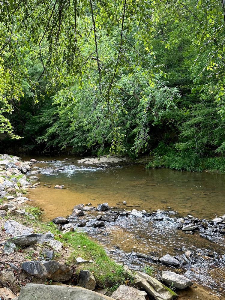 A creek in the North Georgia Mountains