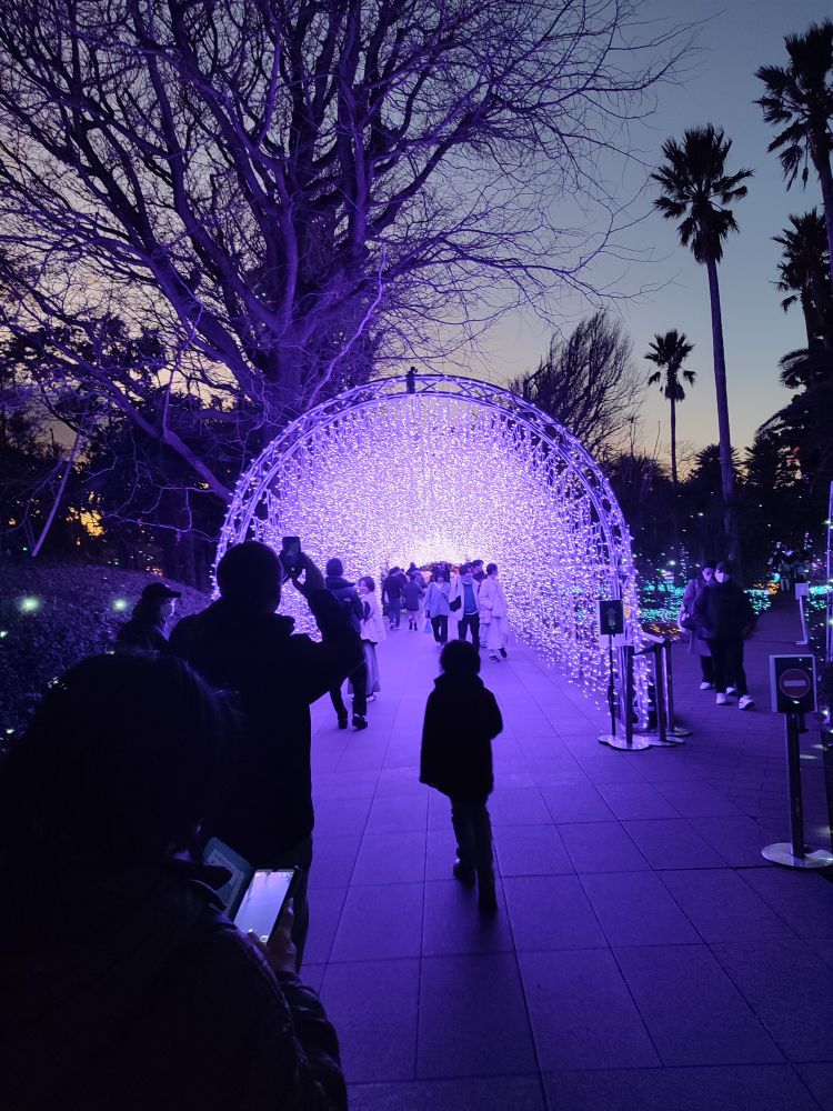 Tunnel illuminé du "Sea Candle" sur l'île d'Enoshima 