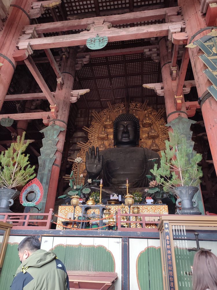 Photo de la statue de bouddha dans le temps Todaiji au parc de Nara. 
