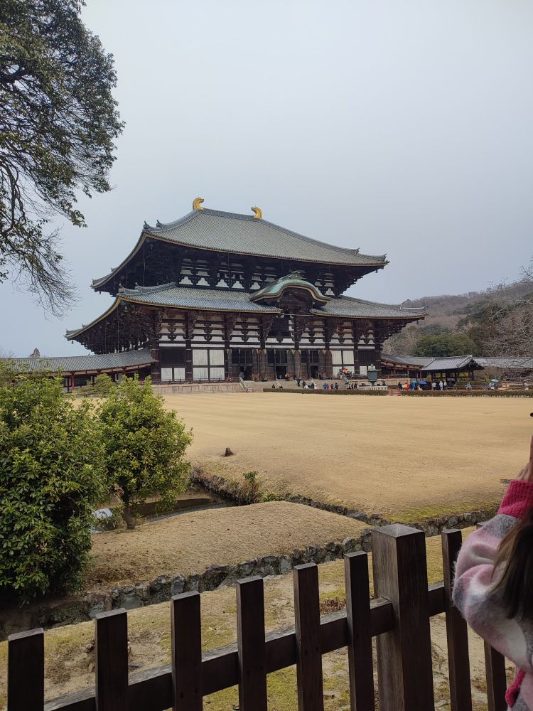 Photo du temple Todaiji qui se trouve dans le parc de Nara