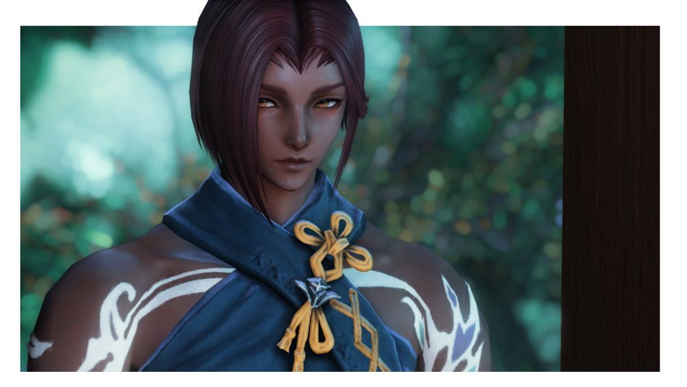 gpose of a viera from ffxiv