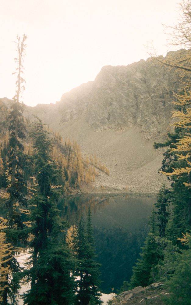An alpine lake surrounded by evergreens and larches. 