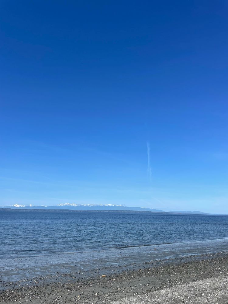 The Salish Sea with the Olympic Mountains in the background. 