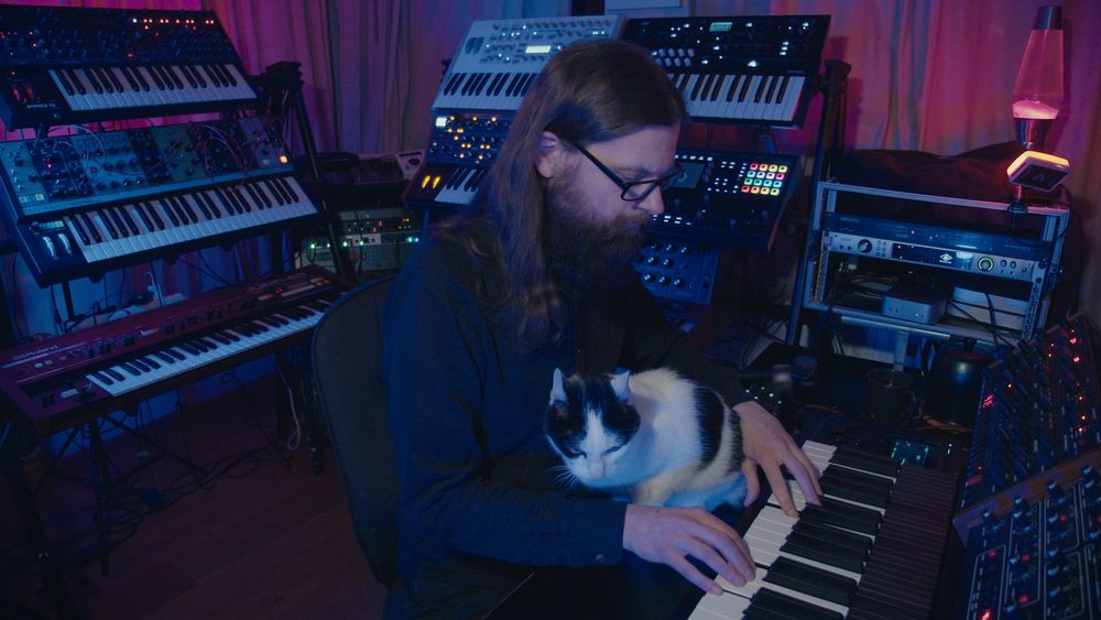 Cat sitting in a music studio with musical instruments.