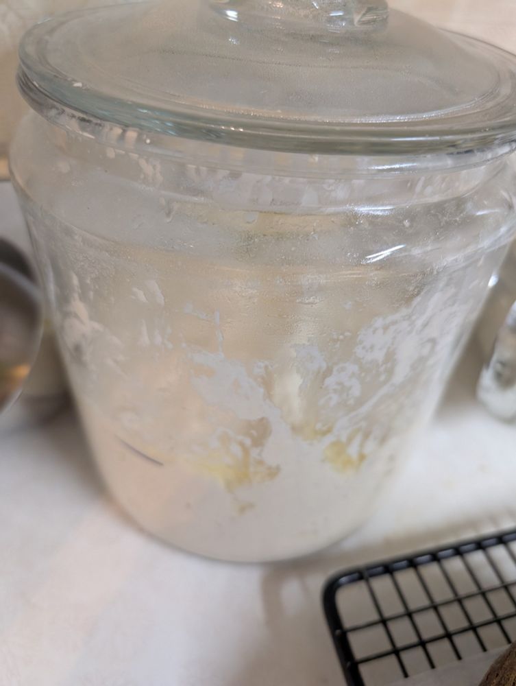 Sourdough focaccia bulk ferment in progress