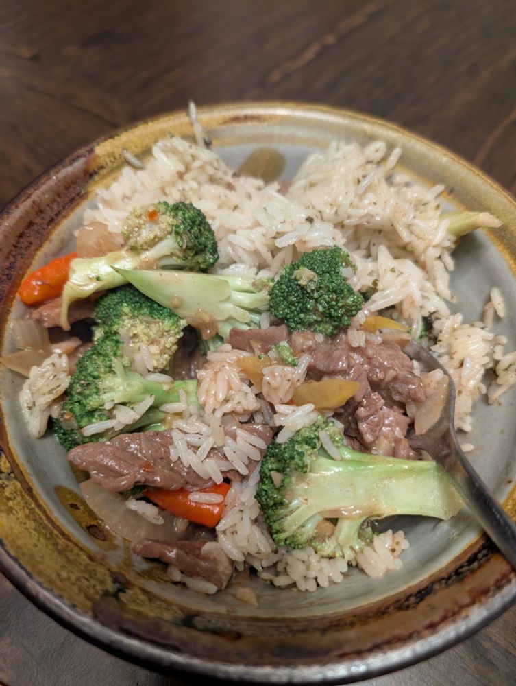 Broccoli and beef with rice