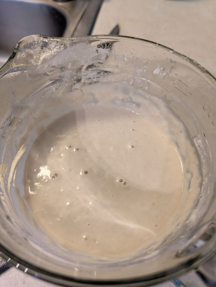 Sourdough starter with a few bubbles forming on the top. 