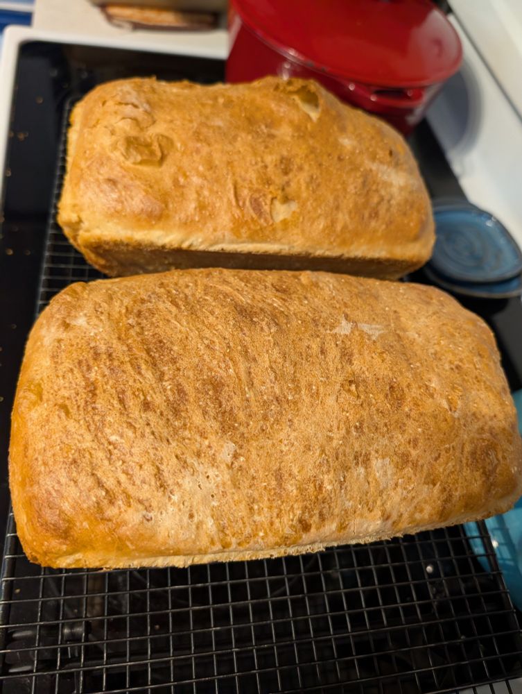 2 beautiful baked loaves of bread.