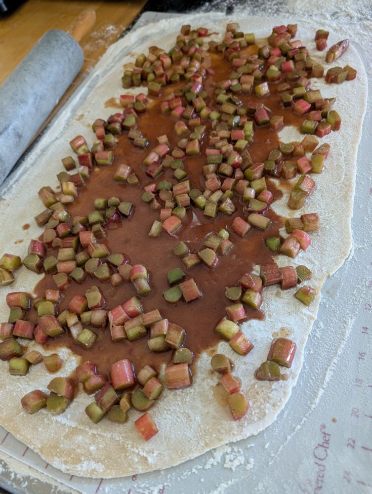 Rhubarb sweet roll, ready to roll up and bake