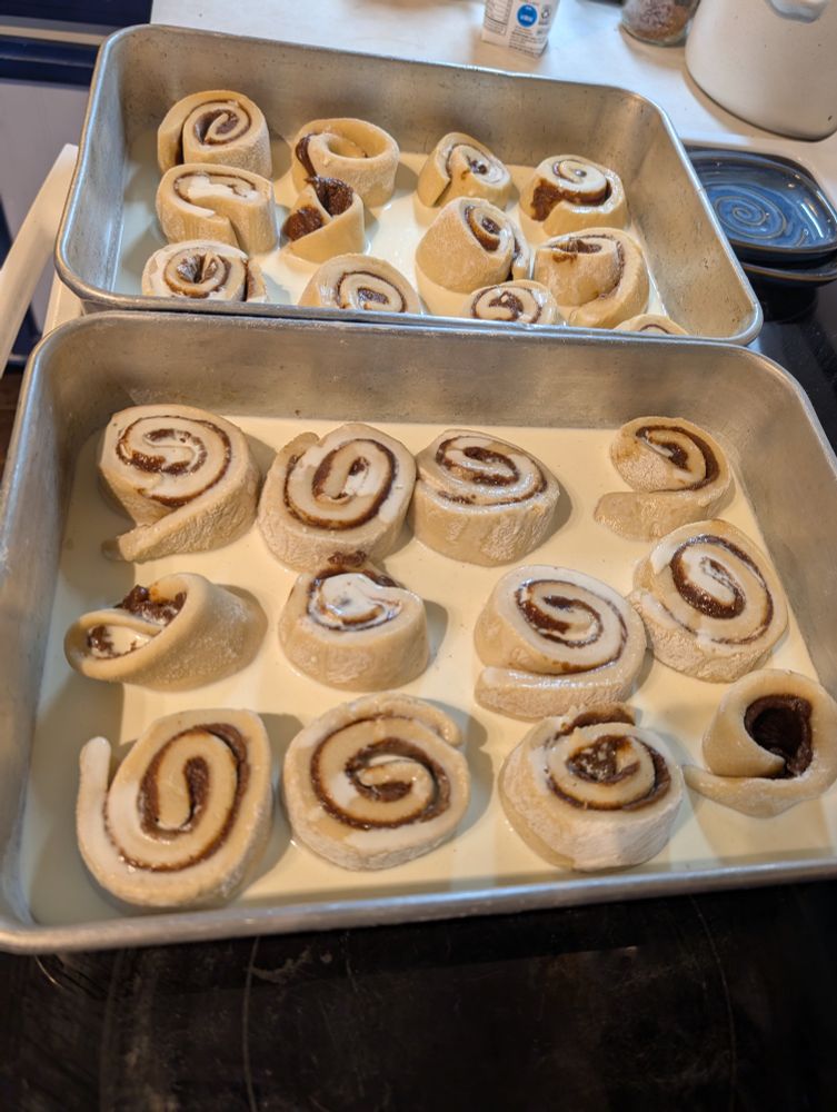 2 pans of cinnamon rolls rising