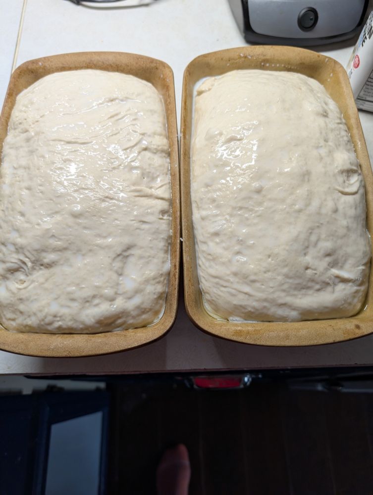 2 unbaked loaves of bread