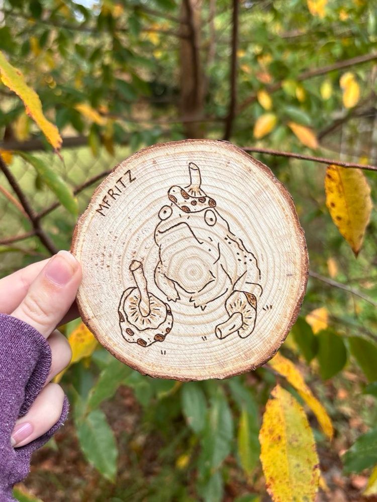 pyrography design of a toad with 3 spotted mushrooms on a small circle wood slice held up in front of a yellow and green leafy background