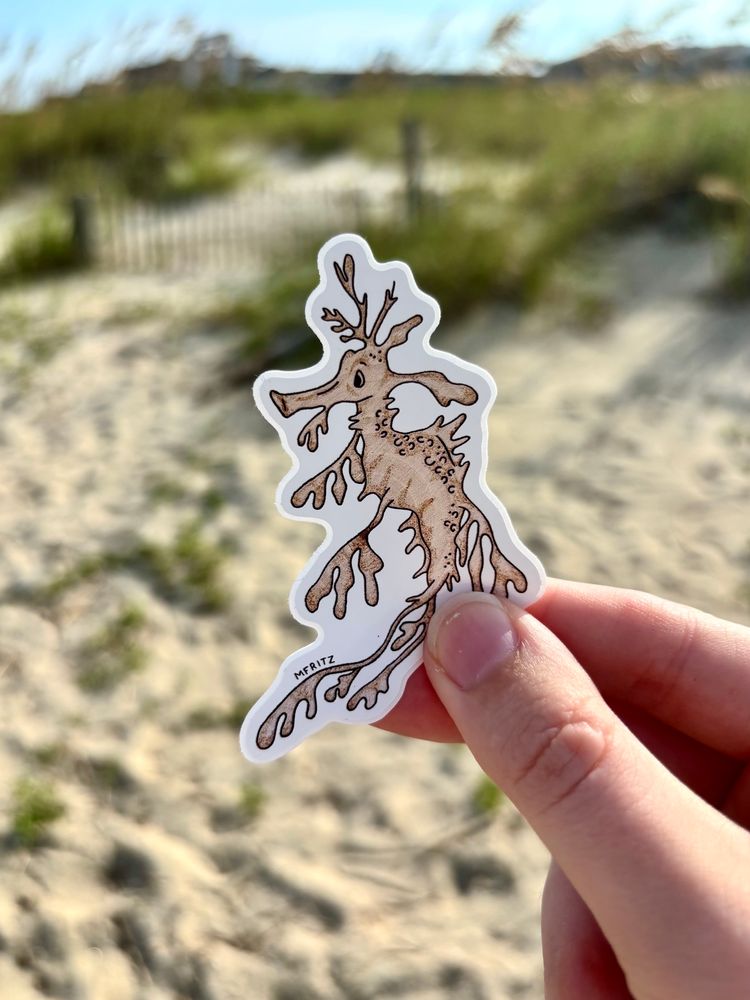 Sticker of a pyrography leafy Seadragon held in front of sand dunes