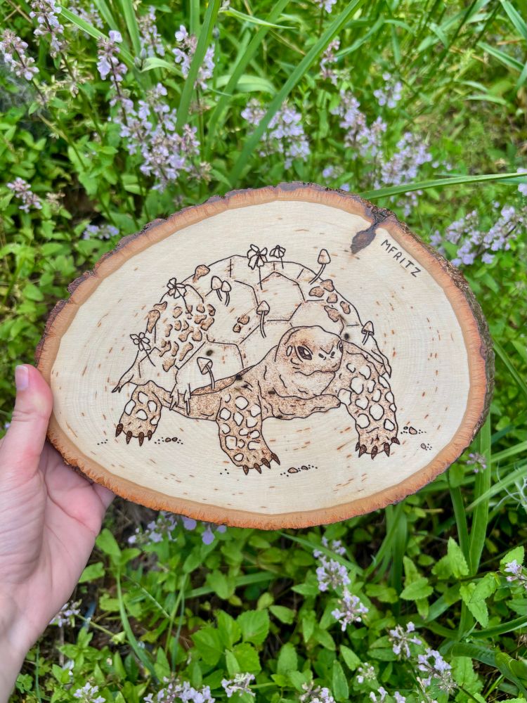 Pyrography design of a tortoise with moss, mushrooms, and flowers on his shell on a oval wood slice held up in front of green grass and purple flowers