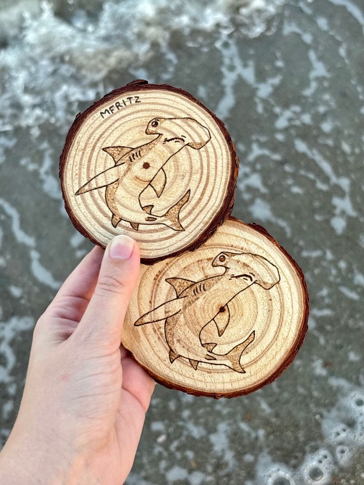 Pyrography of a hammerhead shark on 2 small circle wood slices held above ocean waves