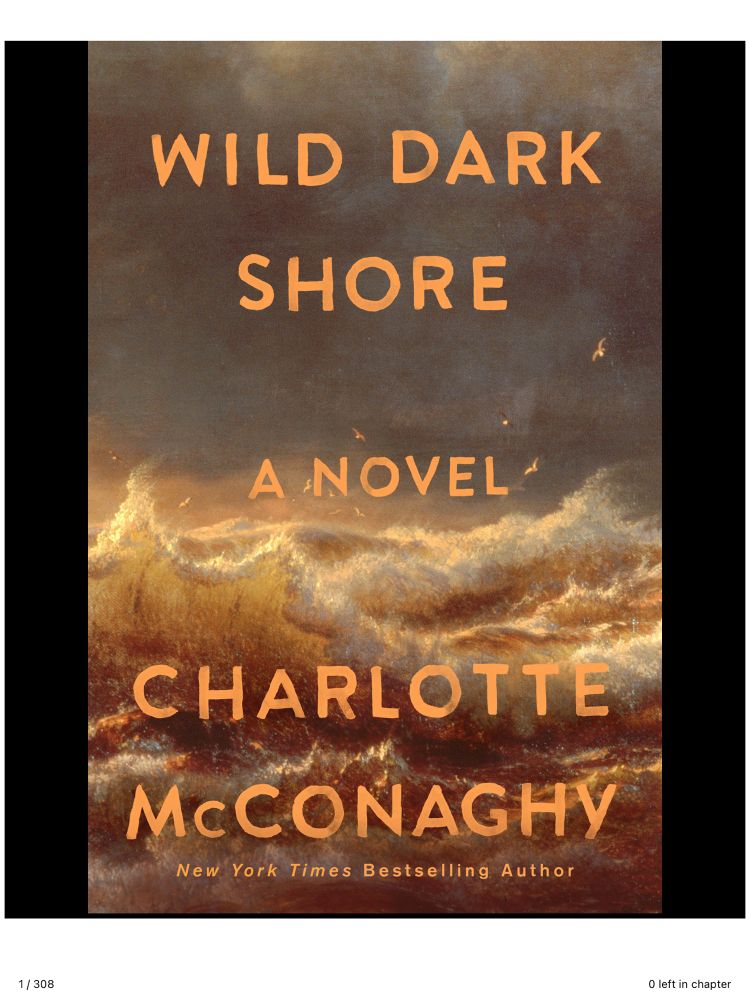 Wild Dark Shore book cover