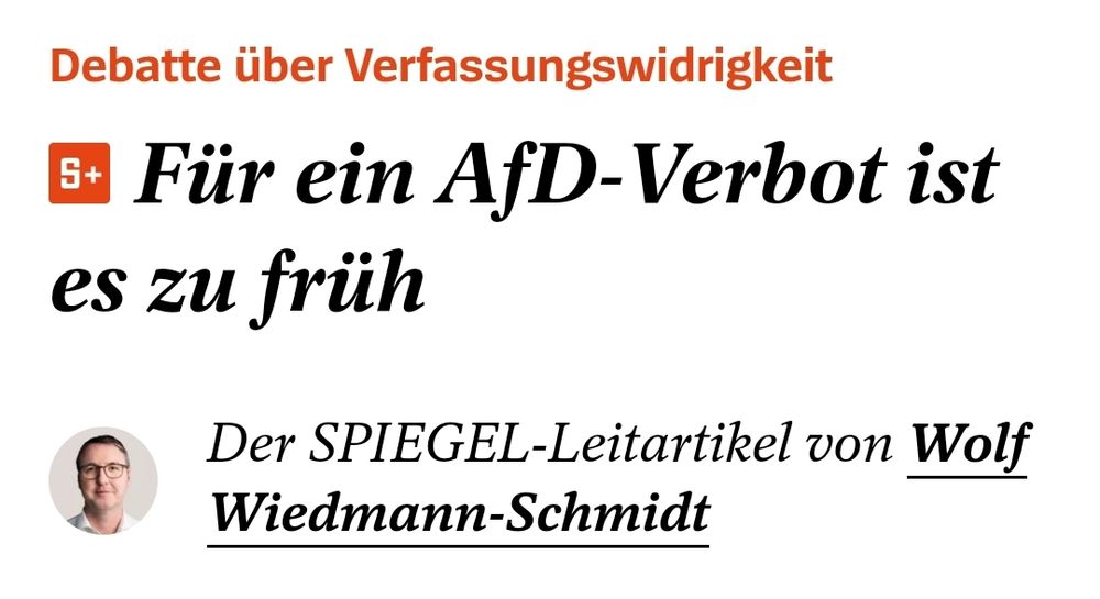 Debatte über Verfassungswidrigkeit
Für ein AfD-Verbot ist es zu früh
Wolf Wiedmann-Schmidt
Der SPIEGEL-Leitartikel von Wolf Wiedmann-Schmidt