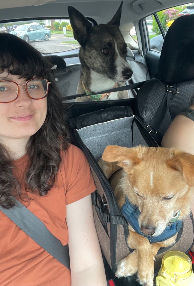 Moonreed sitting in the passenger seat of her car, her partner is driving, a small tan dog named Pippin sits in a dog seat on the console of the car, a bigger mottled grey dog named Merry is sitting in the back seat behind a dog barrier