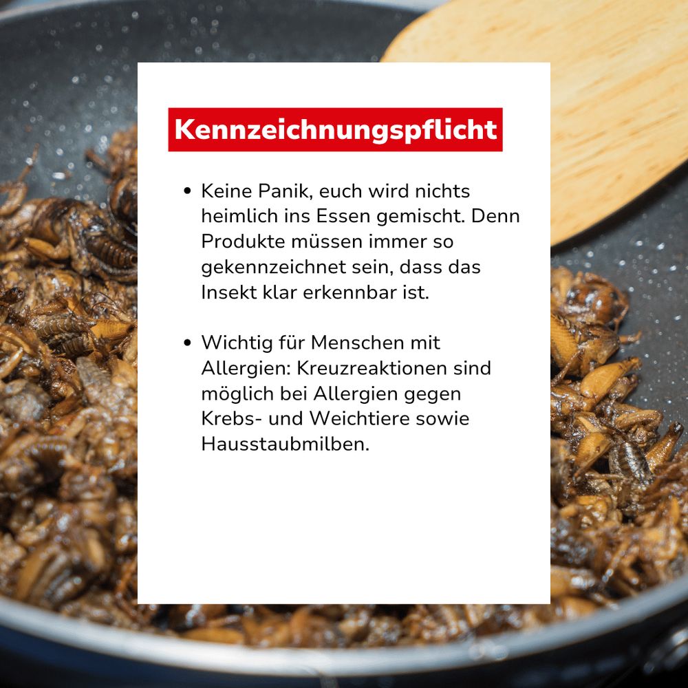 Bild mit Text: "Kennzeichnungspflicht. Keine Panik, euch wird nichts heimlich ins Essen gemischt. Denn Produkte müssen immer so gekennzeichnet sein, dass das Insekt klar erkennbar ist. Wichtig für Menschen mit Allergien: Kreuzreaktionen sind möglich bei Allergien gegen Krebs- und Weichtiere sowie Hausstaubmilben."